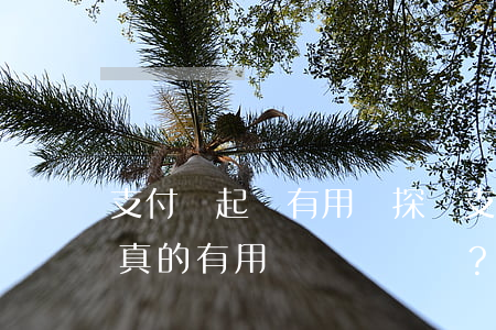 支付寶起訴有用嗎，探討支付寶起訴的實效性：真的有用嗎？